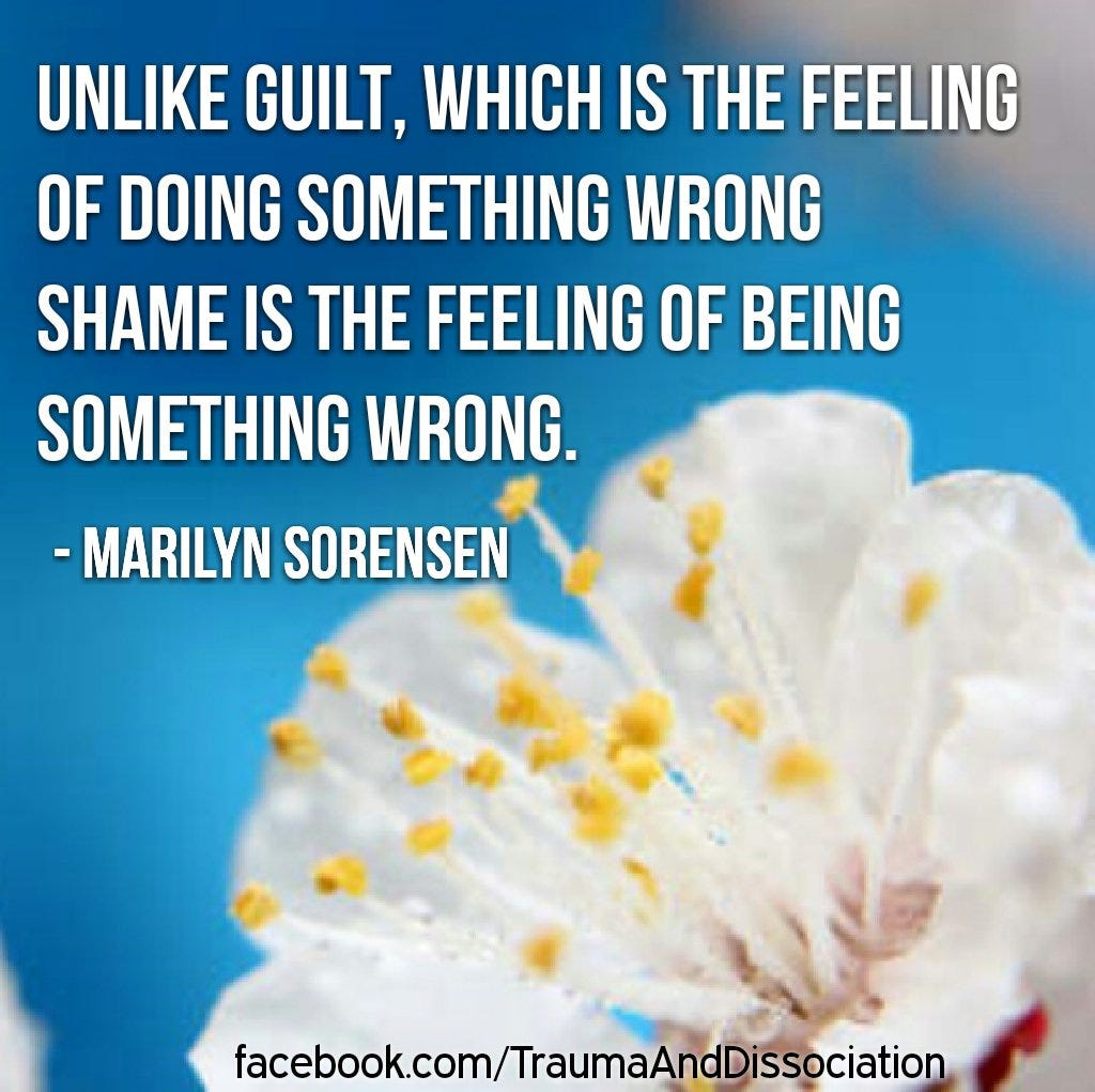 Quote in white over a photo showing a close-up of a white flower against a blue background: “Unlike guilt, which is the feeling of doing something wrong, shame is the feeling of being something wrong.” – Marilyn Sorensen
